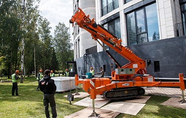 Техника Арлифт. Ландшафтный дизайн